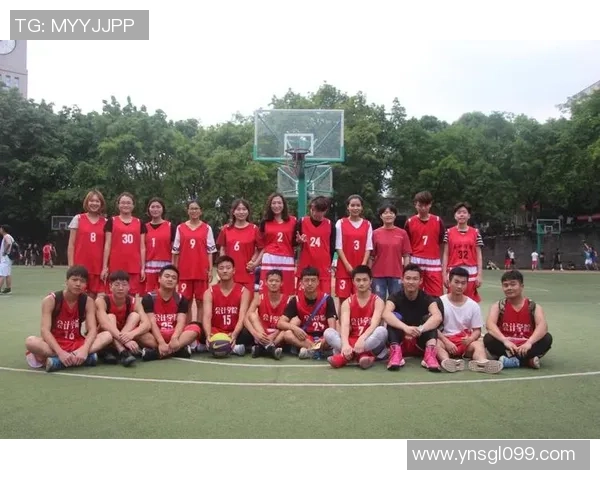 重庆篮球队与广州篮球队实力对比赛后分析与总结